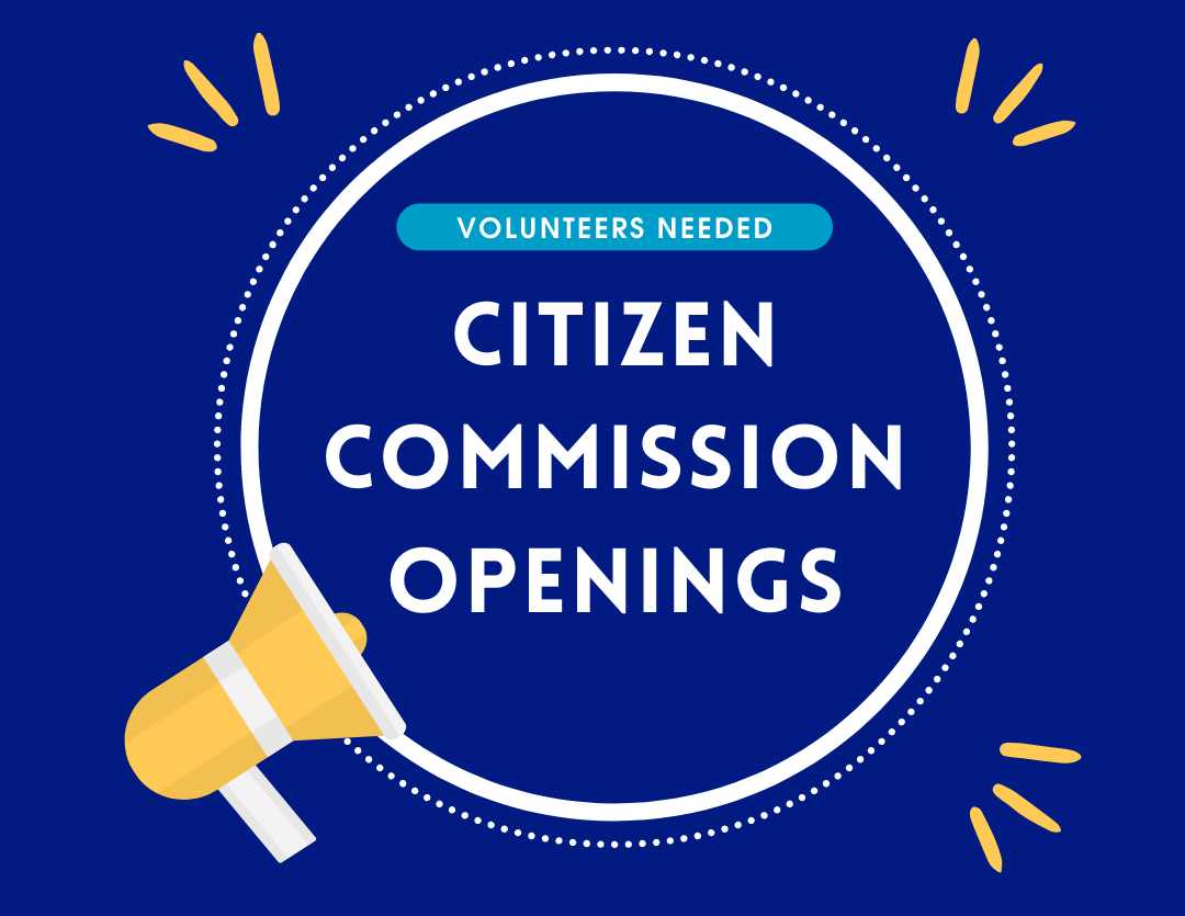 Citizen Commission Openings (2025-2027 Term)