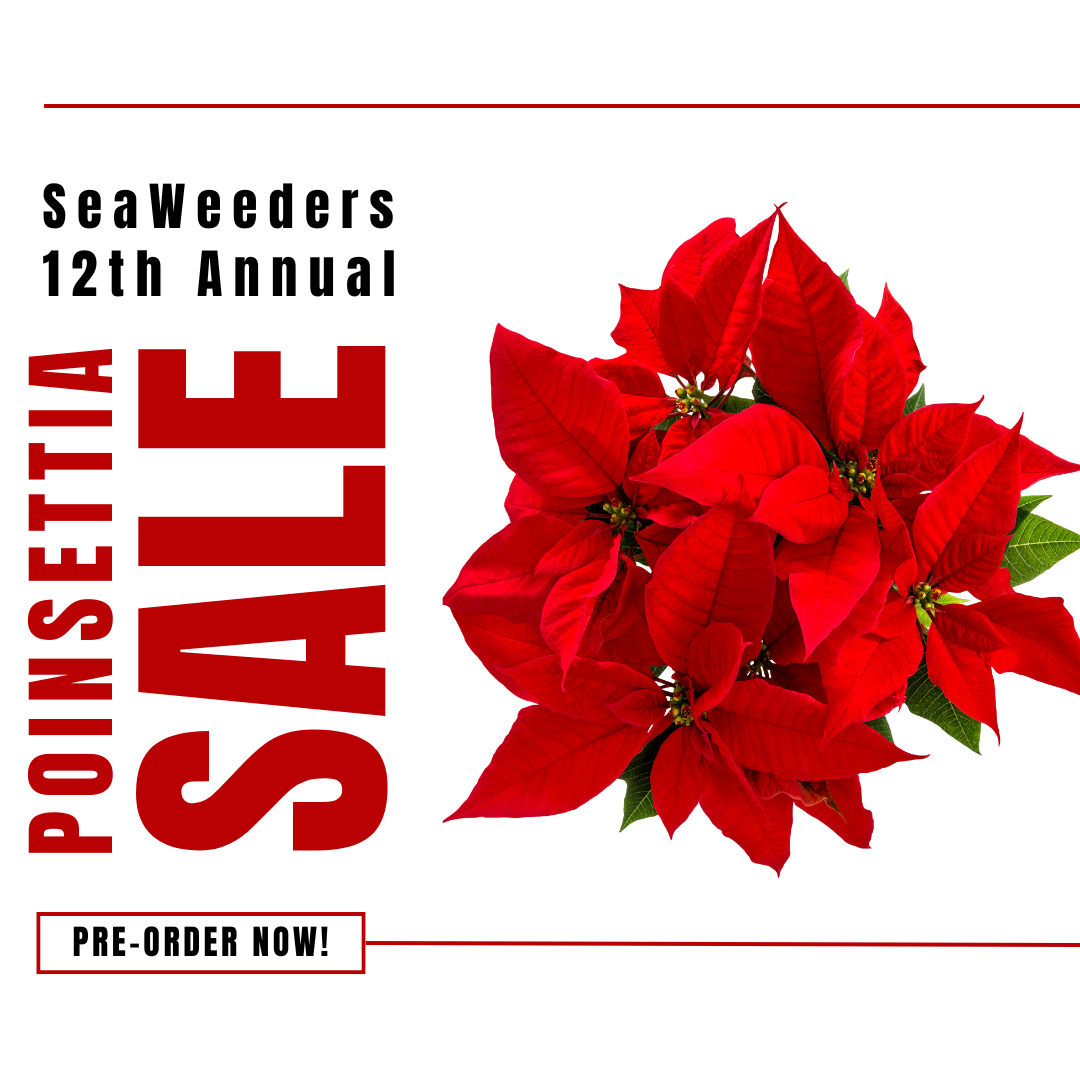 SeaWeeders' Annual Poinsettia Sale