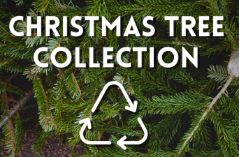 Christmas Tree Recycling 2024-25