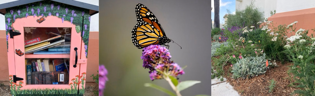 monarchs