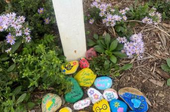 Solana Beach Rocks with Kindness: Have You Spotted These Colorful Creations? Next time you’re out and about in Solana Beach, keep an eye out for something bright and cheerful – a painted rock with a message of kindness! These Kindness Rocks are part of a delightful community project that’s all about spreading positivity and building connections among neighbors.  The City of Solana Beach brought this project to life by hosting rock-painting booths at two of the community’s favorite events: Fiesta del Sol and