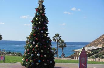 Fletcher Cove Holiday Tree Lighting