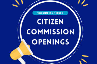 Citizen Commission Openings (2025-2027 Term)