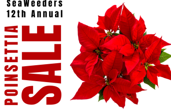 SeaWeeders' Annual Poinsettia Sale